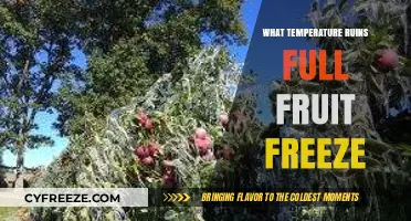 Optimal Fruit Freezing: Temperatures That Ruin Full Fruit Freeze