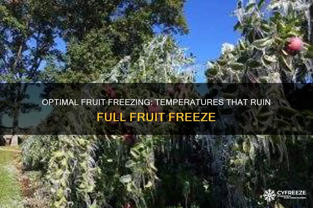what temperature ruins full fruit freeze