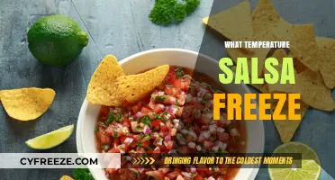 Salsa Freezing Guide: Optimal Temperature to Preserve Freshness
