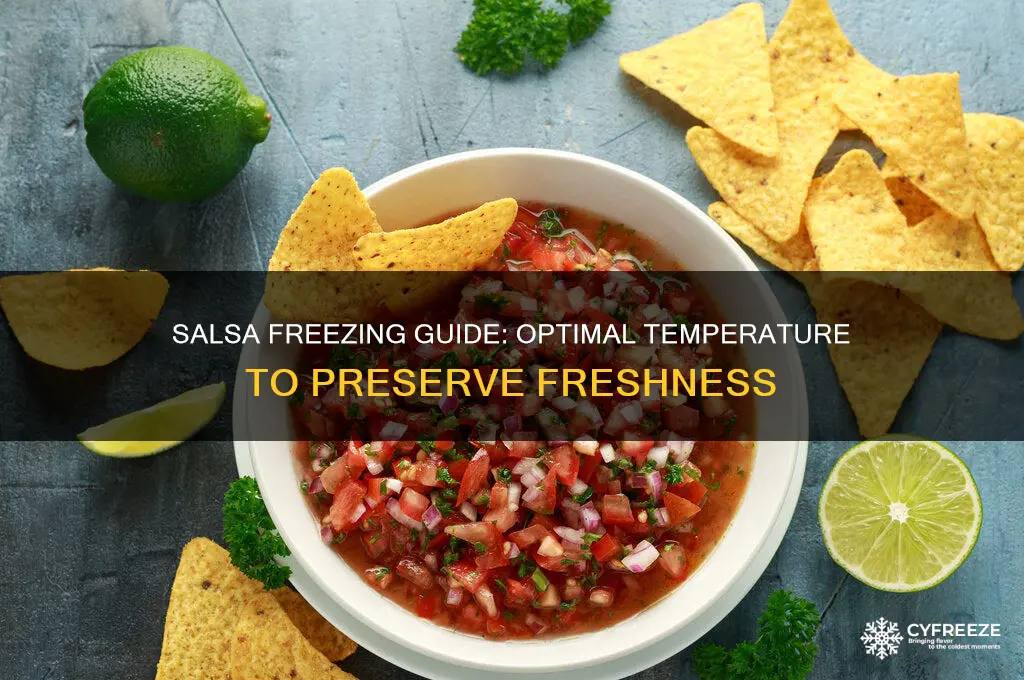 what temperature salsa freeze