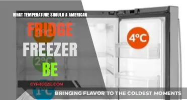 Optimal Temperature Settings for American Fridge Freezers: A Complete Guide