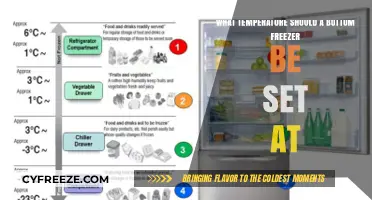 Optimal Bottom Freezer Temperature: A Guide to Efficient Food Storage