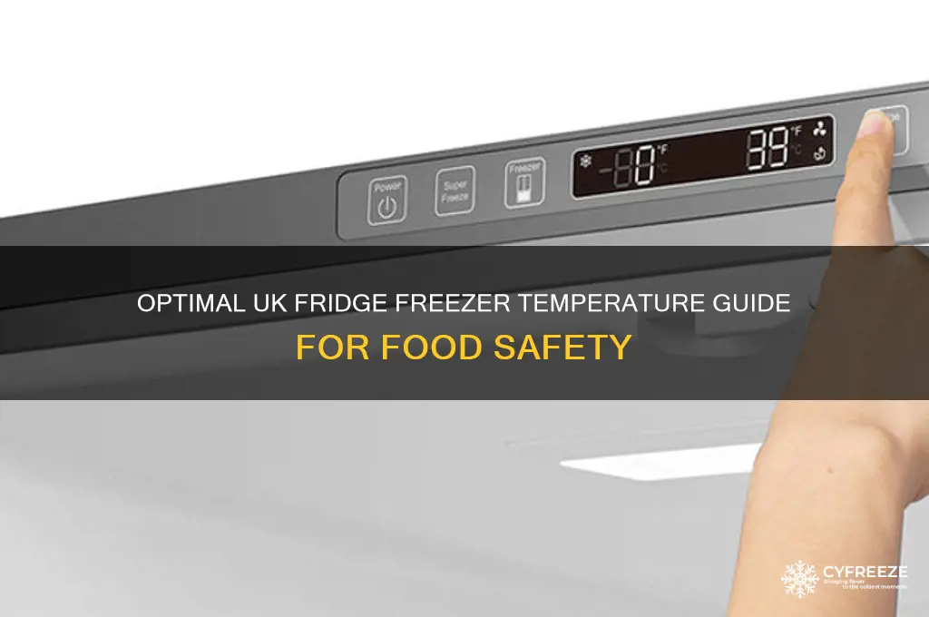 what temperature should a domestic fridge freezer be uk