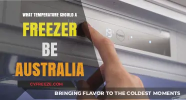 Optimal Freezer Temperature Guide for Australian Households: Stay Fresh
