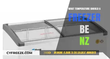 Optimal Freezer Temperature Guide for New Zealand Households