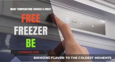 Optimal Frost-Free Freezer Temperature Guide: Keep Food Fresh Longer