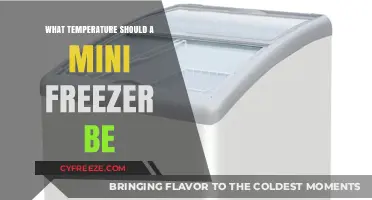Optimal Mini Freezer Temperature Guide: Keep Your Food Fresh and Safe