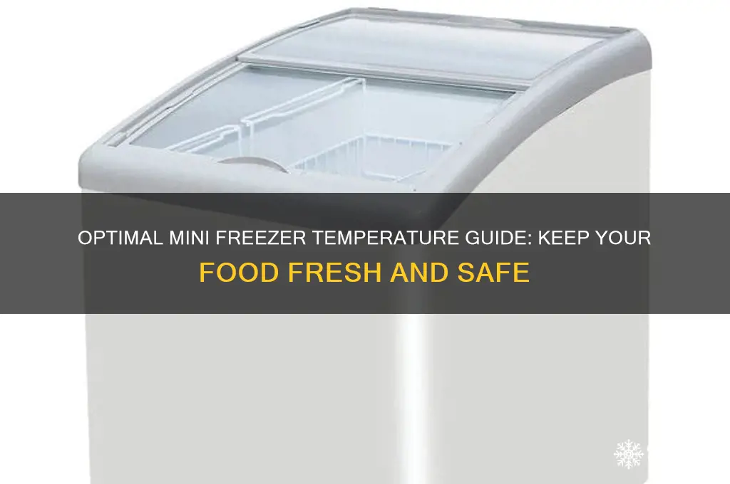 what temperature should a mini freezer be