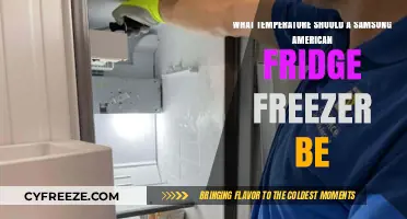 Optimal Samsung American Fridge Freezer Temperature Settings Guide