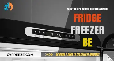 Optimal Smeg Fridge Freezer Temperature Settings for Freshness and Efficiency