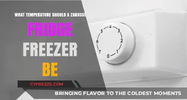 Optimal Zanussi Fridge Freezer Temperature Settings for Freshness and Efficiency