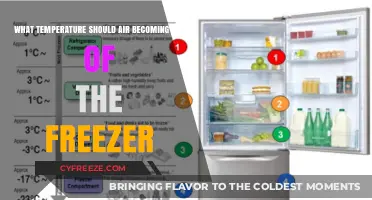 Optimal Freezer Air Temperature: What to Expect for Efficiency