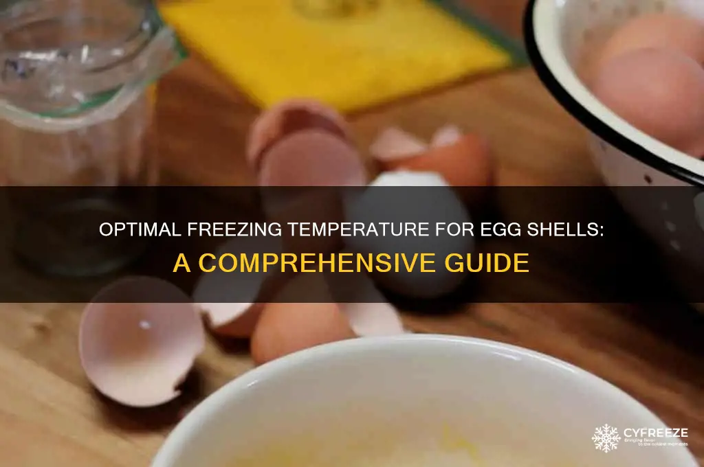 what temperature should egg shells be in the freeze