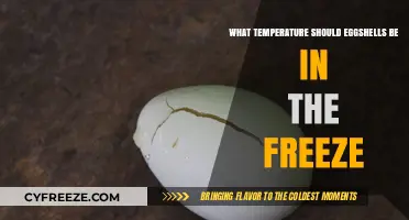 Optimal Freezing Temperature for Eggshells: A Comprehensive Guide