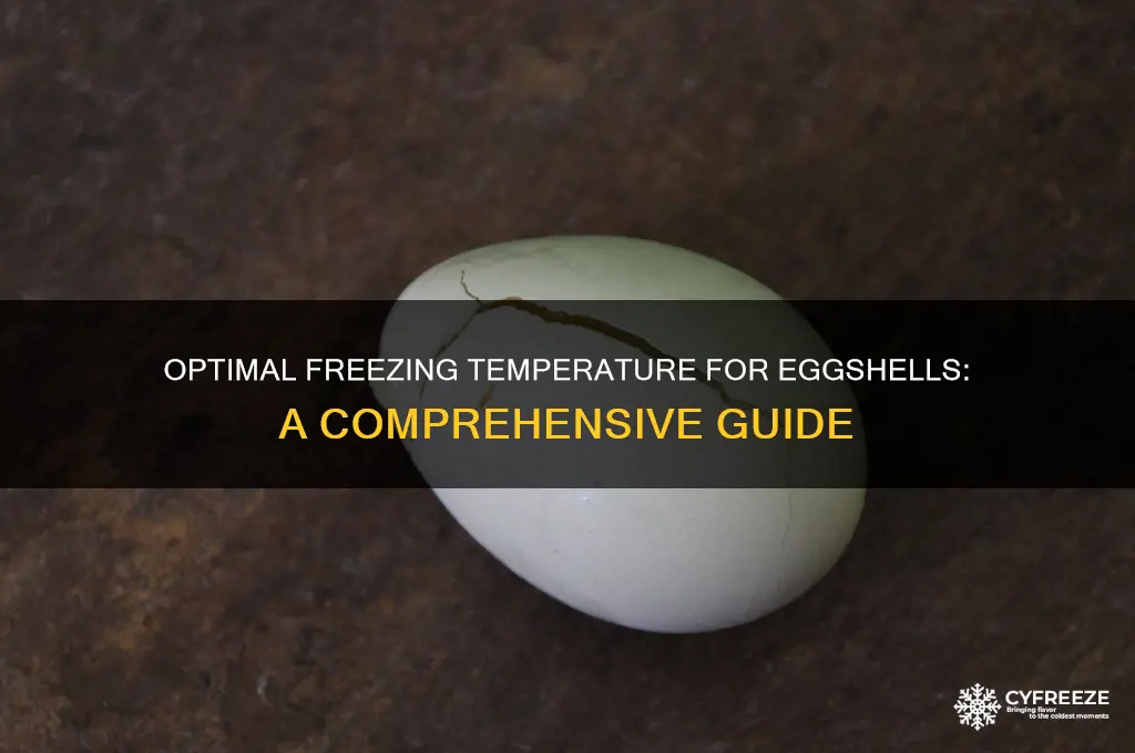 what temperature should eggshells be in the freeze