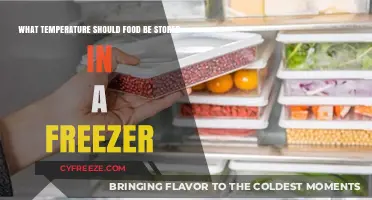 Optimal Freezer Temperature for Safe and Long-Lasting Food Storage