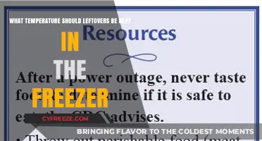 Optimal Freezer Temperature for Safely Storing Leftovers: A Quick Guide