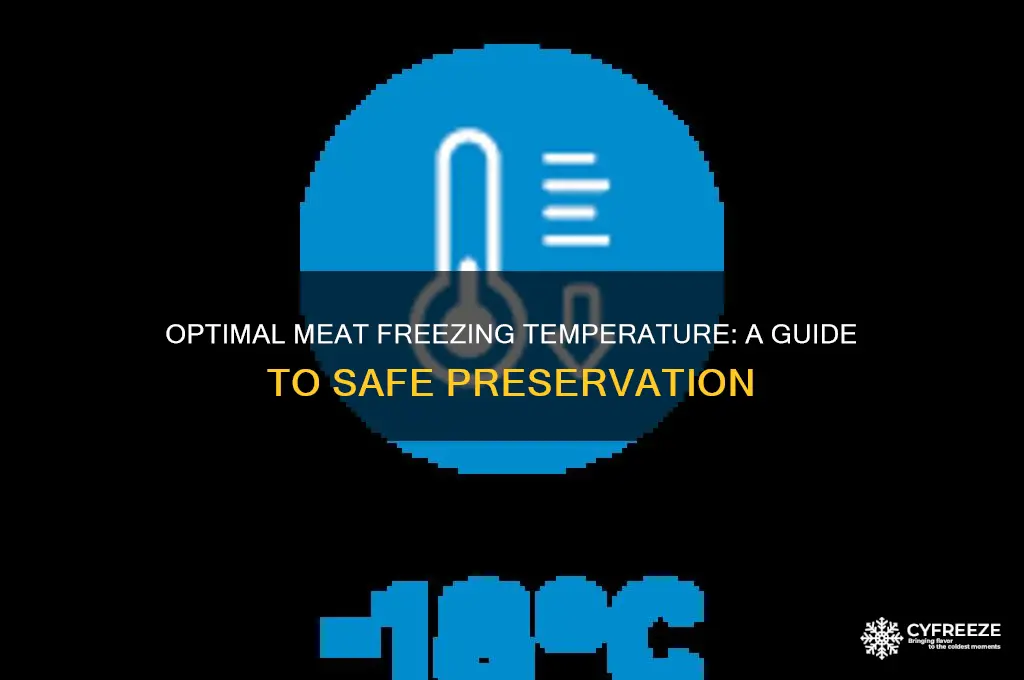 what temperature should meat be before freezing