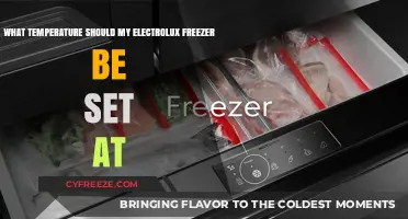 Optimal Electrolux Freezer Temperature Settings for Freshness and Efficiency