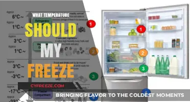 Optimal Freezer Temperature Guide: Keep Food Fresh and Safe