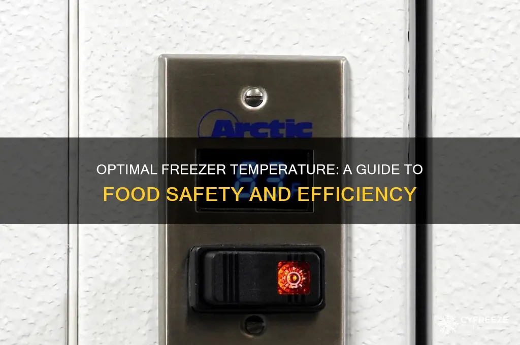 what temperature should my freezer be kept at