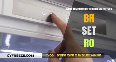 Optimal Freezer Temperature: How Cold Should Your Freezer Be Set?