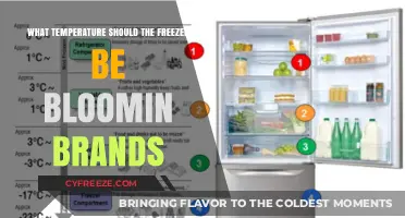 Optimal Freezer Temperature for Bloomin' Brands: A Complete Guide
