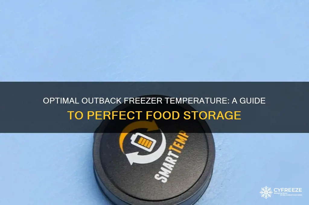 what temperature should the outback freezer be