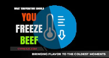 Perfect Beef Freezing: Ideal Temperature Guide for Freshness and Safety
