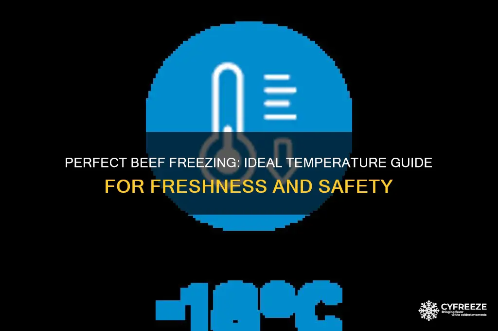 what temperature should you freeze beef