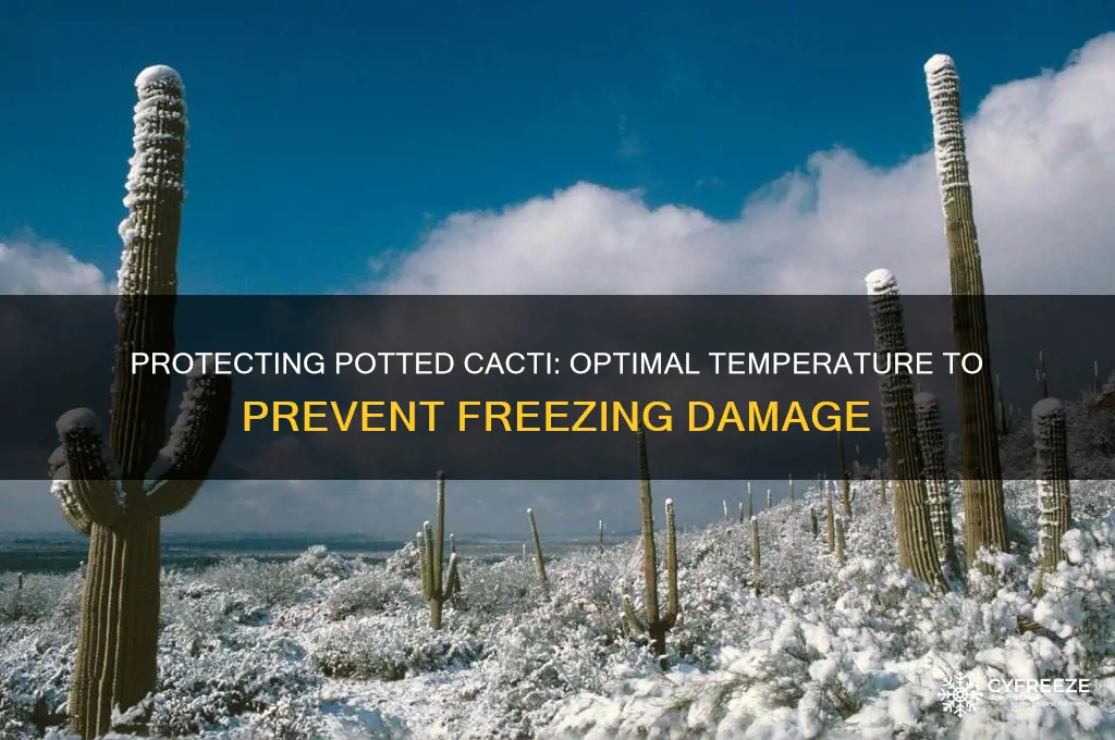 what temperature should you protect potted cactus from freezing