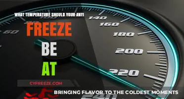 Optimal Antifreeze Temperature: Ensuring Engine Protection in All Seasons