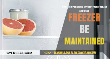 Optimal Freezer and Deep Freezer Temperatures for Food Safety and Efficiency
