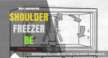 Ideal Freezer Temperature: Keeping Your Food Safe and Fresh
