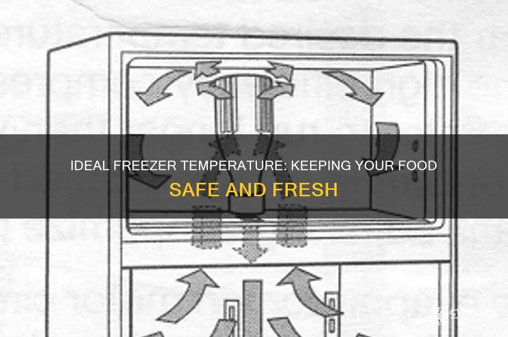 what temperature shoulder freezer be