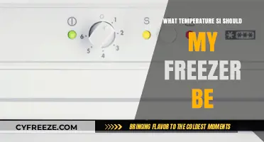 Optimal Freezer Temperature: A Guide to Food Safety and Efficiency