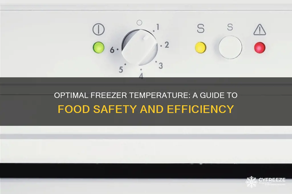 what temperature si should my freezer be