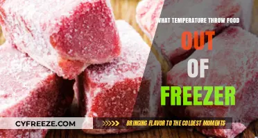 Freezer Food Safety: When to Toss Thawed Items
