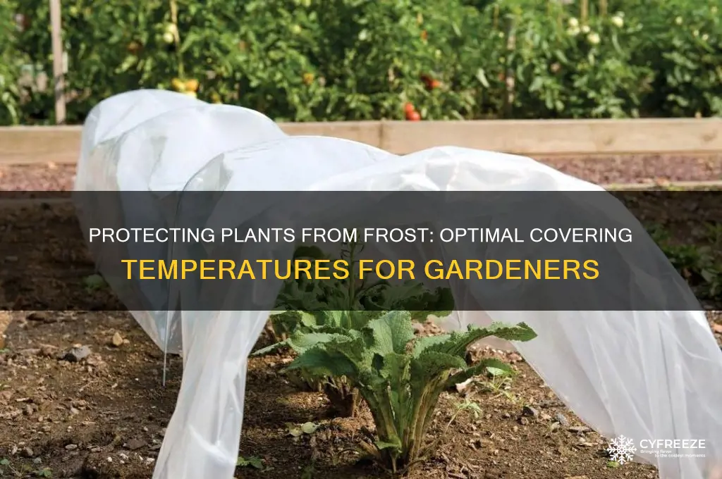 what temperature to cover plants from freezing