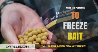 Optimal Freezing Temperature for Bait: A Guide for Anglers