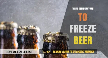 Perfect Beer Freezing: Ideal Temperature Guide for Preserving Your Brew