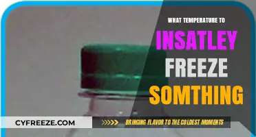 Instant Freezing Secrets: Optimal Temperature to Freeze Anything Fast