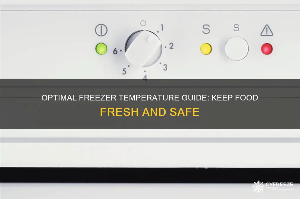 what temperature to put freezer on