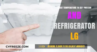 Optimal LG Freezer and Refrigerator Temperature Settings for Freshness