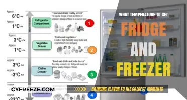 Optimal Fridge and Freezer Temperatures for Food Safety and Freshness
