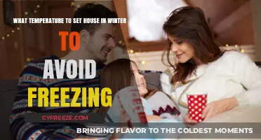 Optimal Winter Home Temperature: Prevent Freezing Pipes and High Bills