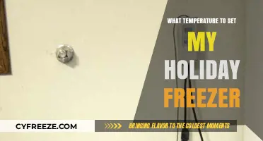Optimal Holiday Freezer Temperature: Keep Food Safe and Fresh