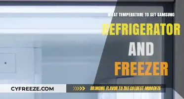 Optimal Samsung Fridge and Freezer Temperature Settings Guide