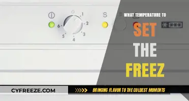 Optimal Freezer Temperature Guide: Keep Food Fresh and Safe