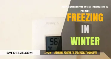 Optimal Winter Thermostat Settings to Prevent Freezing Pipes and Damage